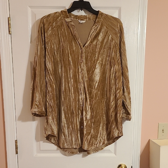 Cato Tops - Cato Shimmering Gold Blouse